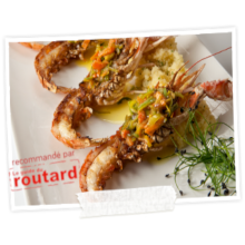 photo de langoustines de Bretagne